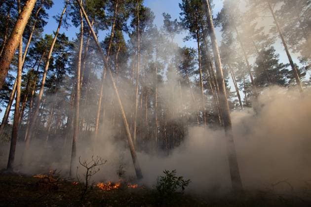Forest fire in Brandenburg support from the air with Hubsc, forest fire in Brandenburg meanwhile arrived at the outskirts of Felgentreu The fire brigades are in large-scale operation and are now supported by helicopters of the federal police The helicopters extinguish from the air with, because there the area burns, can not be entered, because the area is contaminated with ammunition Felgentreu Brandenbu