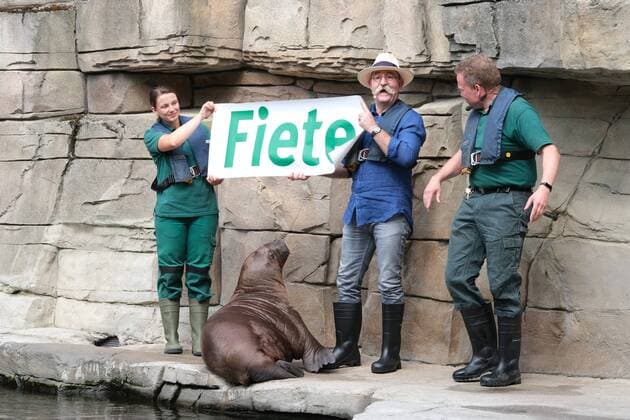 Hamburg Two bearded bearers in the Arctic Ocean, the young walrus bull, born on 5 May near Hagenbeck, was christened Fiete today by Horst Lichter, animal keeper Dirk Stutzki on the right and animal keeper Kristin Zimmer Horst Lichter christens the little walrus in Hagenbeck Zoo Hamburg 2 8 2019