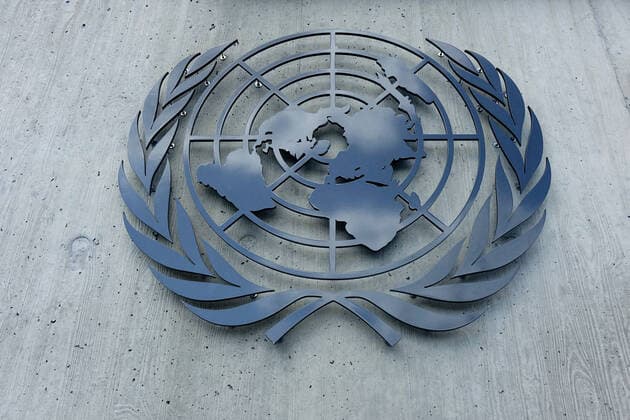 Emblem of the United Nations Emblem of the United Nations, 02 08 2019 Geneva, Ariane Park, Switzerland, The emblem of the United Nations shows a world map with branches of the olive tree