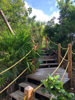 Botanical garden at the harbour Mahogany Bay on Roatan with beach club and cable car 01 02 2020 Roatan with the Costa Luminosa
