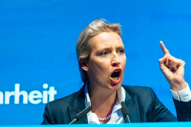 DEU, Germany, Baden Württemberg, Böblingen, 15 02 2020 Alice Weidel Photo leads the AfD Baden Württemberg alone In a crucial vote against the predecessor in office, Bundestag member Dirk Spaniel, Weidel received around 54 percent of the votes cast at the special party conference in Böblingen near Stuttgart Spaniel had stood as a candidate for the national ethnic groupi