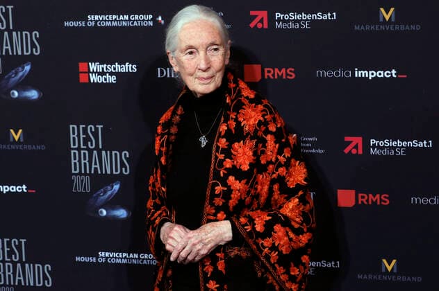 Jane Goodall at the 17th presentation of the Best Brands Awards 2020 at the Hotel Bayerischer Hof Munich, 19 02 2020 Foto:xA.xPohlx xFuturexImage
