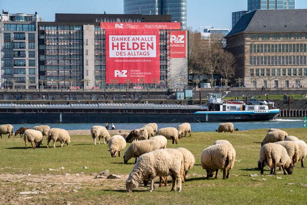 A construction company has hung a large poster on the Rhine promenade, with thanks to the heroes of everyday life, on the facade of a house, Düsseldorf on the Rhine, during the corona crisis, effects of the corona crisis in Germany,