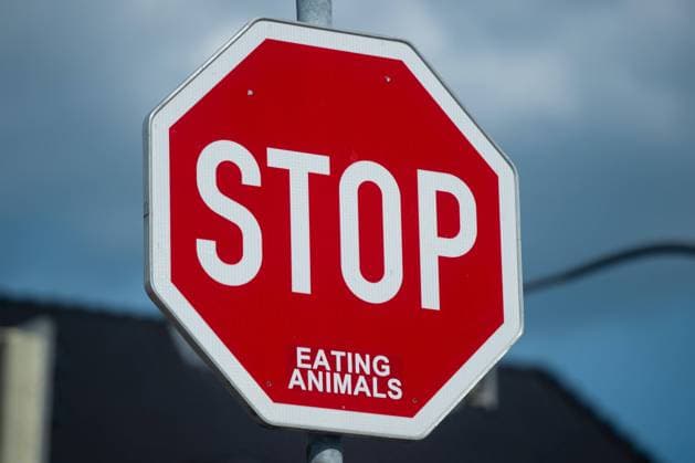 22 06 2020 Coronavirus Feature District Gütersloh In the picture A stop sign with the sticker Eating Animals Photo Noah Wedel, Gütersloh North Rhine-Westphalia Germany