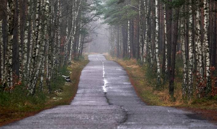 Uckermark GER, Germany, 20210101,Uckermark, road with bad visibility