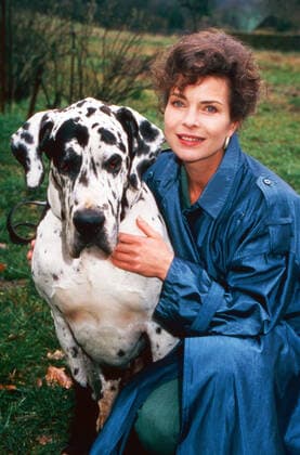 Tresko Amigo Affäre Tresko Amigo Affäre, television film, Germany 1996, directed by Hajo Gies, starring Gudrun Landgrebe with Great Dane, Germany Copyright: FrankxHempel Nur redaktionelle Nuztung. Editorial usage only. UnitedArchivesTT_590195 EDITORIAL USE ONLY