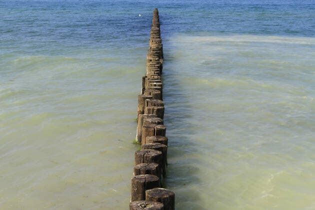 View on Friday 19 05 2017 in the Baltic resort Zingst county Vorpommern Rügen on groynes at the local beach