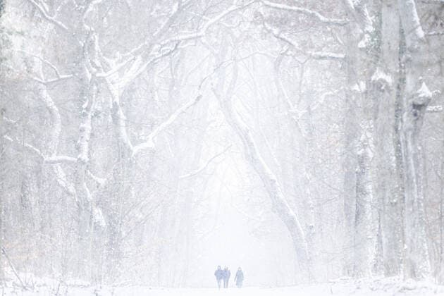 Three people walking in a snowy forest in Berlin, 07 02 2021 Berlin Germany Copyright: xFlorianxGaertner photothek.dex