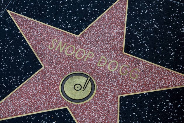 Hollywood Walk of Fame USA, United States of America, California, Los Angeles, 17 02 2020 Hollywood Boulevard, there are about 2700 stars embedded in the sidewalk It honors celebrities who played or still play an important role in the American entertainment industry Category Recording music recordings Star for Snoop Dogg