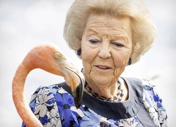 SINT MICHIEL On the second day of a three day working visit to Curacao, Princess Beatrix, together with students from the St Margaretha school, visits the salt pans, where a flamingo Oscar is being worked out The working visit was mainly devoted to nature conservation and the effects of the corona pandemic ANP ROYAL IMAGES KOEN VAN WEEL  Copyright: xANPx xxANPx x441201581x