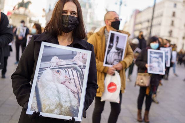 Animal Right Activists Protest In Madrid Activists of the organization IgualdadAnimal (Animal Equality) hold a photo of an animal during a demonstration in support of animal rights in Plaza Puerta del Sol in Madrid on December 11, 2021, Spain Madrid Spain  Copyright: xOscarxGonzalezx originalFilename:gonzalez-notitle211211_npX1J.jpg