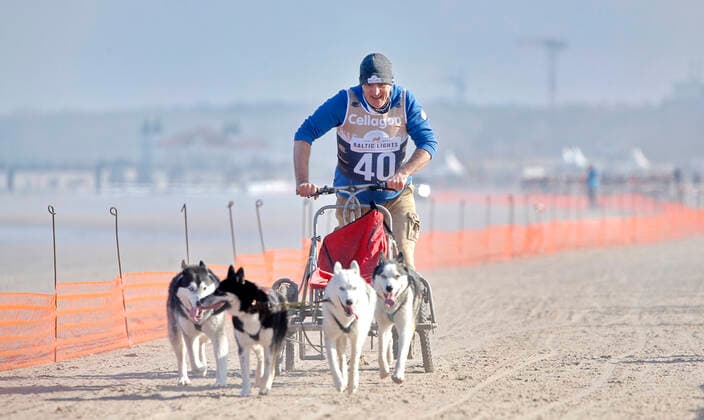 Andreas Hoppe Baltic Lights Sled dog racing on 11 March 2017 on Beach from Heringsdorf Copyright: x
