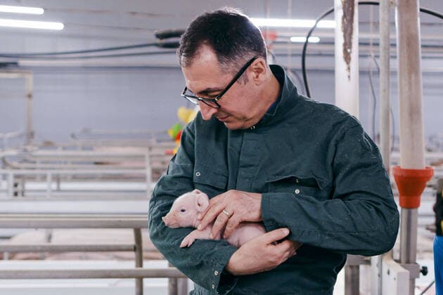 Cem Oezdemir Buendnis 90 Die Gruenen , Federal Minister of Agriculture and Food, holding a piglet in his arms in the farrowing pen of Jan Hendrik Hohls pig farm Bergen, 13 04 2022 Bergen Germany Copyright: xThomasxTrutschelx