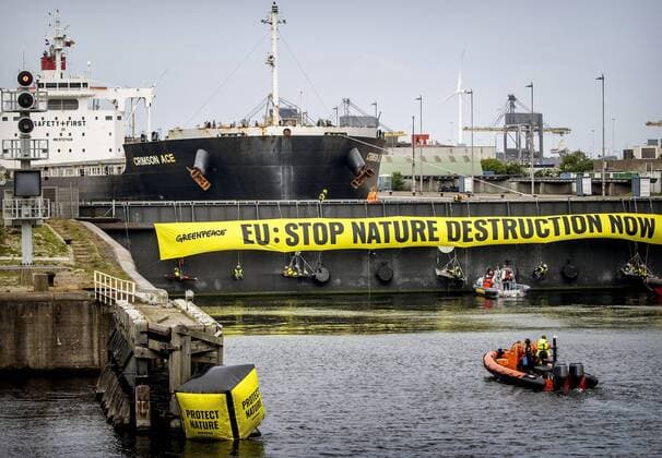 2022 05 11 10 51 57 IJMUIDEN Activists from Europe and Brazil, together with Greenpeace Netherlands, have blocked the Noordersluis in IJmuiden As a result, a 225 meter long ship, the Crimson Ace, is now stuck in the lock The Crimson Ace has 60 million kilos of soy from Brazil on board KOEN VAN WEEL netherlands out belgium out  Copyright: xx x448379691x originalFilename: 448379691.jpg