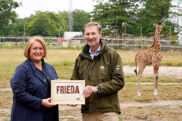 Sabine Pentrop and zoo director Andreas Knieriem at the christening of the youngest giraffe offspring with the name Frieda The little giraffe was born on 21 June 2022 in the Tierpark Berlin Berlin, 08 07 2022 Foto:xT.xBartillax xFuturexImage