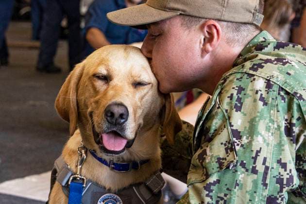 July 13, 2022 - Norfolk, Virginia, USA - A Sailor kisses a dog, brought on by Mutts With a Mission, aboard the Nimitz-class aircraft carrier USS George H.W. Bush (CVN 77), July 13, 2022. The George H.W. Bush Carrier Strike Group is an integrated combat weapons system that delivers superior combat capability to deter, and if necessary, defeat America s adversaries in support of national security. Norfolk USA - ZUMAz03_ 20220713_stw_z03_481 Copyright: xU.S.xNavyx
