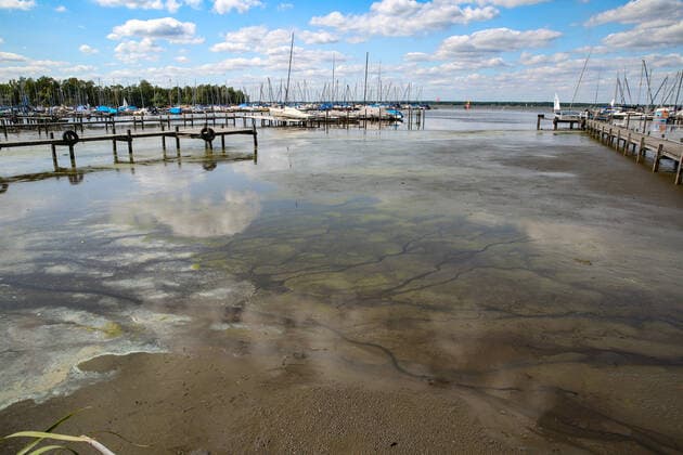 Lower Saxony, Hanover, Steinhuder Meer destination, vacation, Steinhude, water level of the Steinhuder Meer still much too low, blue-green algae ,