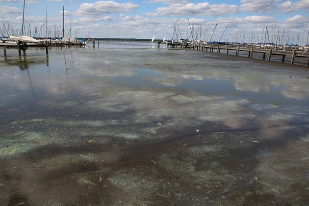 Lower Saxony, Hanover, Steinhuder Meer destination, vacation, Steinhude, water level of the Steinhuder Meer still much too low, blue-green algae ,