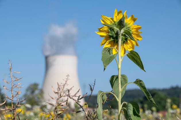 Atomkraftwerk Isar 2 in Essenbach bei Landshut, Grünen-Symbol Sonnenblume, Juli 2022 Deutschland, Essenbach, 19. Juli 2022, Atomkraftwerk Isar 2 in Essenbach bei Landshut wird Ende des Jahres abgeschaltet, Diskussion um Laufzeitverlängerung, Sonnenblume auf einem nahegelegenen Feld als Symbol der Grünen, Symbolfoto, Abschaltung, Abschalten, Stilllegung, Atomausstieg, Ausstieg oder Verlängerung der Laufzeiten wegen Energiemangel, Betreiber des Kraftwerks ist die PreussenElektra GmbH, Ukrainekrieg, AKW, Atomkraft, Kernkraft, Kernkraftwerk, das AKW Isar 2 ist eines der drei letzten aktiven Kernkraftwerke in Deutschland, Kernenergie, Energiekrise, Stromerzeuger, Stromproduktion, Wirtschaft, Energiewirtschaft, Bayern, Niederbayern, Juli 2022