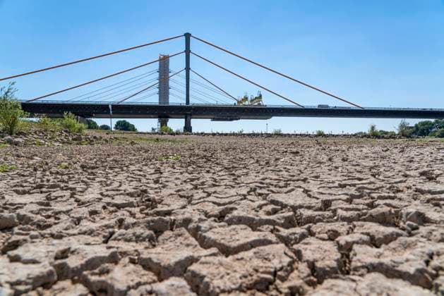 Rhine near Duisburg, extreme low water, Rhine level at 168 cm, tendency falling, after the long drought the right bank of the Rhine, near Duisburg Neuenkamp, falls dry, in the background the freeway bridge Neuenkamp, A40, and construction site of the new Rhine bridge next to it, NRW, Germany, low water Rhine