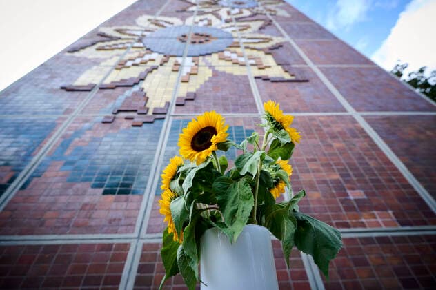 Rostock, commemoration of the 30th anniversary RostockLichtenhagen Federal President Frank Walter Steinmeier and Prime Minister Manuela Schwesig lay down sunflowers on 25 08 2022 in memory of the victims of the racist riots 30 years ago at the so-called Sunflower House Also lay do