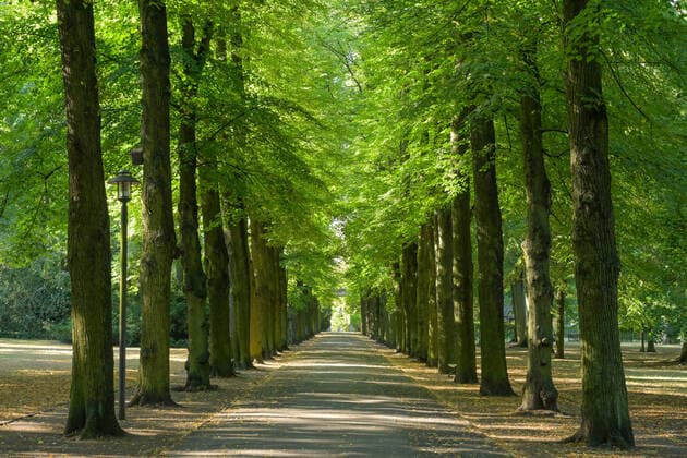 Albert Brodersen Allee, Schlosspark Biesdorf, Marzahn Hellersdorf, Berlin, Germany