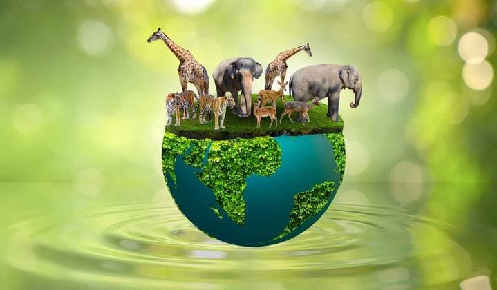 World Wildlife Day Concept Nature reserve conserve Wildlife reserve tiger Deer Global warming Food Loaf Ecology Human hands, World Wildlife Day Concept Nature reserve conserve Wildlife reserve tiger Deer Global warming Food Loaf Ecology Human hands, World Wildlife Day Concept Nature reserve conserve Wildlife reserve tiger Deer Global warming Food Loaf Ecology Human hands, 11.04.2022, Copyright: xsarayutx Panthermedia31309256.jpg