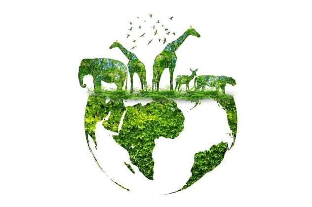 wildlife silhouette on earth wildlife conservation concept, wildlife silhouette on earth wildlife conservation concept, wildlife silhouette on earth wildlife conservation concept, 11.04.2022, Copyright: xsarayutx Panthermedia31309264.jpg