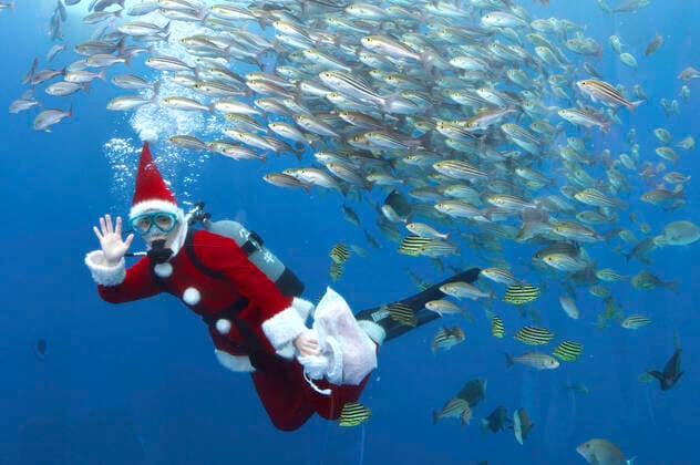 A diver in Santa costume swims with fish in a large tank during an underwater performance for the upcoming Christmas party at Hakkeijima Sea Paradise Yokohama, 17 12 2022. Foto:xK.xNarax xFuturexImage