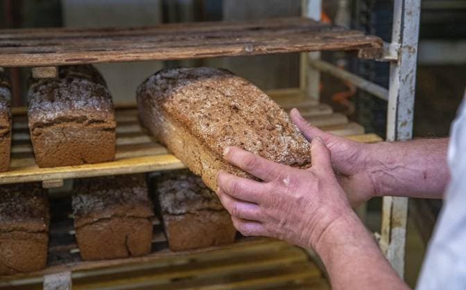 <p>Der Bäckermeister Richard Jansen, legt das frisch gebackene Rogegnbrot auf den Patettenwagen, in der Bäckerei Gerads in Rees, am Dienstag, 10.05.2022. Tag des deutschen Brotes: Geschichte aus einer Bäckerei, die noch alles von Hand backt. Wie gehen Bäckereien mit gestiegenen Mehl- und Energiepreisen um? Deutschland Nordrhein-Westfalen Rees Copyright: OlafxFuhrmann