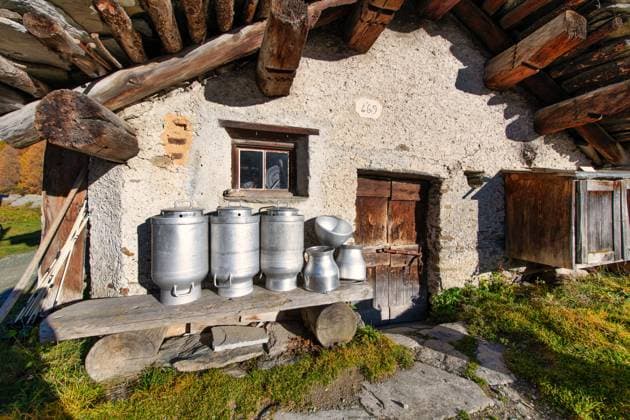 Hat from cow farmers with milk containers 1104301359