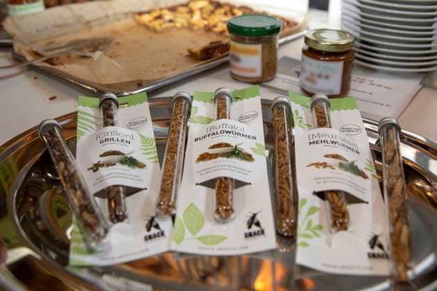 Buffalo worms crickets and mealworms For the European Union, insects are considered novel foods Two other products, the larva of the cereal mold beetle and the house cricket have been added in various forms of preparation symbol photo, theme photo Cologne, 24 01 2023 Foto:xR.xSchmiegeltx xFuturexImage