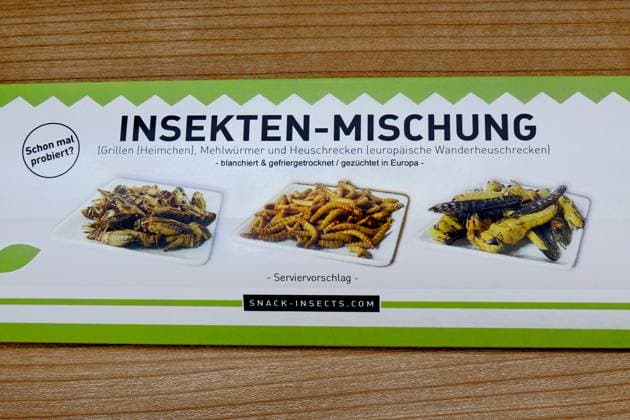 edible insects edible insects, 27 01 2023, Borkwalde, Brandenburg, In a package there are edible insects