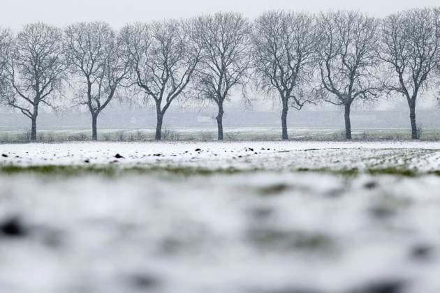 Snowfall around Cologne leads to accidents and traffic jams On Wednesday, the Rhineland experienced a winter onset with snow and icy conditions In the picture, a snow-covered field with an avenue of bare trees Topic image, symbol image Cologne, 08 03 2023 NRW Germany Copyright: xChristophxHardtx
