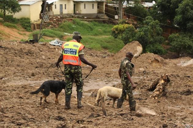 Bilder des Jahres 2023, News 03 März News Themen der Woche KW11 (230318) -- BLANTYRE, March 18, 2023 -- Police officers conduct search and rescue work with sniffer dogs at a cyclone-affected area in Blantyre, Malawi, March 17, 2023. More bodies have been recovered in Malawi s southern region hit by Cyclone Freddy, bringing the total death toll to at least 438 as of 09:00 p.m. local time (1900 GMT) Friday, said the country s Department of Disaster Management Affairs. The death toll rose from Thursday s 326, said the department in its fifth update, adding that approximately 345,183 people (or 79,602 households) have been displaced and 505 camps have been set up to accommodate them. (Photo by Xinhua) MALAWI-BLANTYRE-CYCLONE-DEATH TOLL JosephxMizere