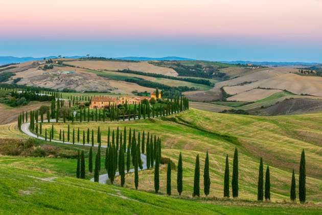 Italy, Tuscany, Treelined country road in summer at dawn, FOF13532