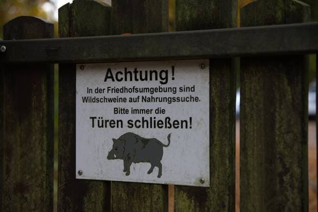Warning before Wild boars to the Front door of Wilmersdorfer Forest Cemetery in Stahnsdorf, County Potsdam Mittelmark, Country Brandenburg, Germany, Europe Copyright: imageBROKER StephanxLaude ibxssl08514503.jpg