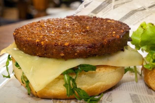 Close-up of an insect burger For 12.90 euros, visitors to the BUGA Federal Horticultural Show in Mannheim can order such a burger Copyright: xx