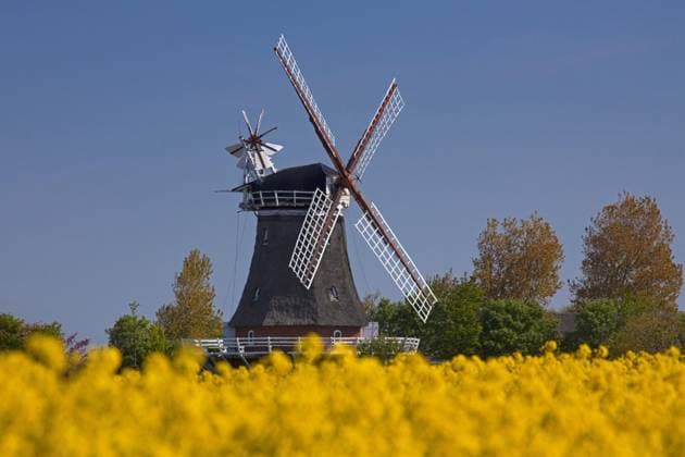 Windmill in Oldsum at the Island Föhr, North Frisia, Germany, Europe Copyright: imageBROKER alimdix xArterra ibltsm09319062.jpg
