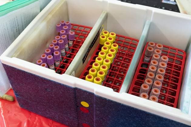 View into a cooling box with sample tubes for the laboratory examination of the donated blood, theme photos BLUTSPENDE on the occasion of the blood donation campaign of the German Red Cross with the action missingtype to the world blood donation day on 14 June 2023, photo session on 05 06 2023 in the school center Pesch in Cologne,