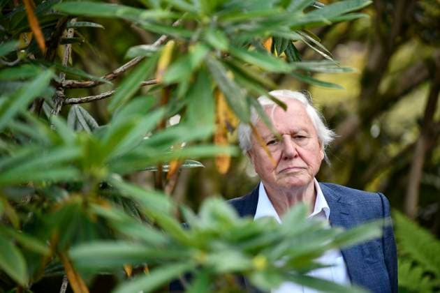 GOTHENBURG 2018 09 06 Sir David Attenborough is seen at the Botanical gardens in Gothenburg, Sweden on Thursday Sir Attenborough is in Sweden to accept an award during the annual The Perfect World Foundations dinner Foto Björn Larsson Rosvall TT kod 9200 GÖTEBORG Sweden x9200x  Copyright: xBjörnxLarssonxRosvallx xTTx DAVID ATTENBOROGH IN SWEDEN