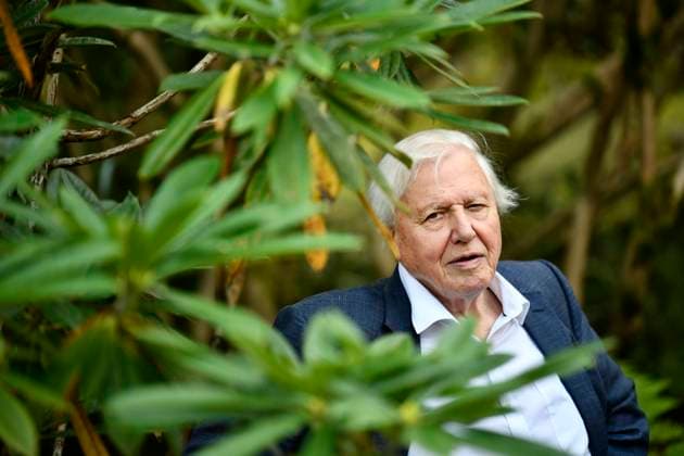 GOTHENBURG 2018 09 06 Sir David Attenborough is seen at the Botanical gardens in Gothenburg, Sweden on Thursday Sir Attenborough is in Sweden to accept an award during the annual The Perfect World Foundations dinner Foto Björn Larsson Rosvall TT kod 9200 GÖTEBORG Sweden x9200x  Copyright: xBjörnxLarssonxRosvallx xTTx DAVID ATTENBOROGH IN SWEDEN