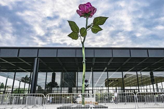 <p>Eine überdimensionale Rose der Bildhauerin Isa Genzken steht vor der Neuen Nationalgalerie. Die Neue Nationalgalerie ehrt Isa Genzken anlässlich ihres 75. Geburtstags mit der Ausstellung Isa Genzken. 75 75 und zeigt 75 Skulpturen aus allen Schaffensphasen der deutschen Künstlerin von den 1970er-Jahren bis heute. Zu sehen sind unter anderem Hauptwerke wie das 10 Meter lange Blau-grau-gelbes Hyperbolo ˜MBB™ (1981), Atelier (1990), Venedig (1993), Nofretete Das Original (2012) oder Schauspieler (2013), fotografiert am 29. Juni 2023 in Berlin. Deutschland Berlin Berlin Copyright: Mauriz Copyright: MaurizioxGambarini doc7qv95q56tjs7neyobsi ,EDITORIAL USE ONLY