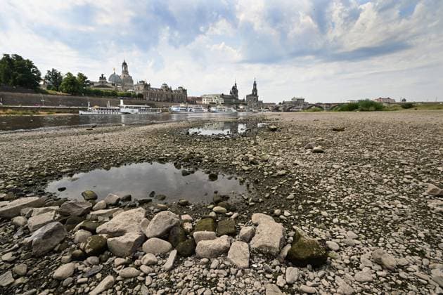 GER Saxony Dresden Elbe has very low water level due to drought stones and partly even sand strips can be seen and the large motor ships can no longer drive only the not so low lying paddle steamers city skyline with Frauenkirche and Brühlscher Terrasse 100723 10 07 23