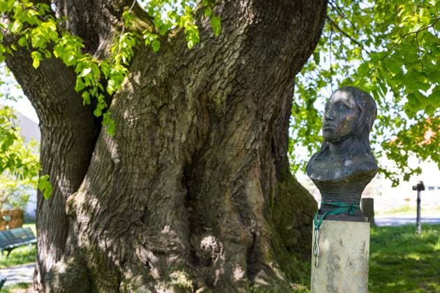 Bust of the pianist Clara Schumann at the Schmorsdorf lime tree, hsitoric summer lime Tilia platyphyllos , estimated age 350 500 years, in the center of Schmorsdorf, Müglitztal, Saxony, Germany