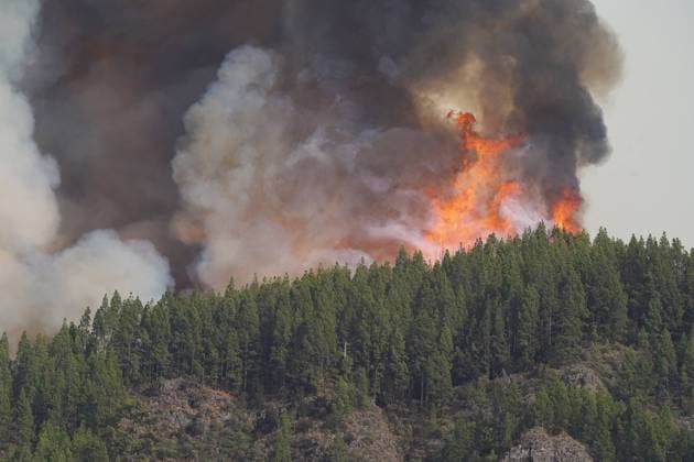Bilder des Jahres 2023, News 08 August News Themen der Woche KW33 Out Of Control Wildfires Rage In Tenerife - Canary Islands The forest fire, on August 17, 2023, in La Orotava, Tenerife, Canary Islands, Spain. The City Council of La Orotava has confirmed that the decision has been taken to evacuate as a preventive measure in view of the evolution of the fire the population center of Aguamansa, as well as Pinolere and the highlands of La Florida. Aguamansa is currently one of the most active points of the fire, which has already affected about 5,000 hectares. La Orotava is on alert because the outbreaks are close to the houses, and the change of wind that may occur tonight would worsen the situation and cause the flames to advance faster than in the afternoon, when the high amount of smoke has caused the f Copyright: xEuropaxPress ABACAx 864326_007 EuropaxPress ABACAx 864326_007