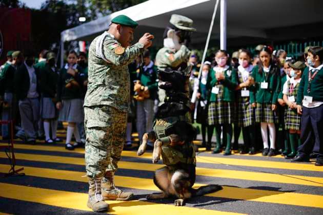 September 22, 2023, Mexico City, Mexico City, Mexico: Roko canine binomial of the Mexican Army doing training exercises with his trainer. Mexico City Mexico - ZUMAs310 20230922_zip_s310_006 Copyright: xLuisxExSalgadox