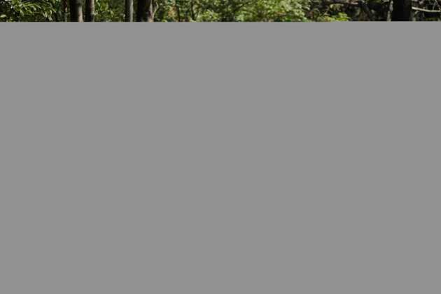 September 22, 2023, Mexico City, Mexico City, Mexico: Unveiling of the monument in honour of Proteo and the Binomios CanoÂ³filos del Ejercito Mexicano Mexico City Mexico - ZUMAs310 20230922_zip_s310_005 Copyright: xLuisxExSalgadox