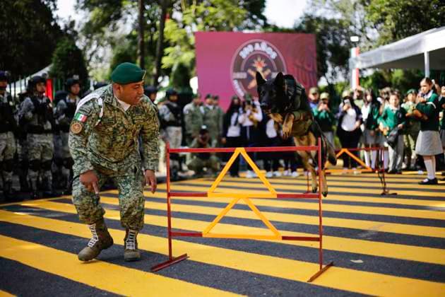 September 22, 2023, Mexico City, Mexico City, Mexico: Canine binomials of the Mexican army doing training exercises as a demonstration. Mexico City Mexico - ZUMAs310 20230922_zip_s310_009 Copyright: xLuisxExSalgadox