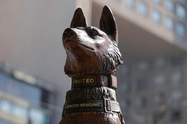 September 22, 2023, Mexico City, Mexico City, Mexico: Monument in Honour of Proteo canine of the Mexican Army Mexico City Mexico - ZUMAs310 20230922_zip_s310_010 Copyright: xLuisxExSalgadox